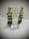 Long Jewel Earrings