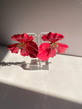 Pink Flower Diamond Earrings