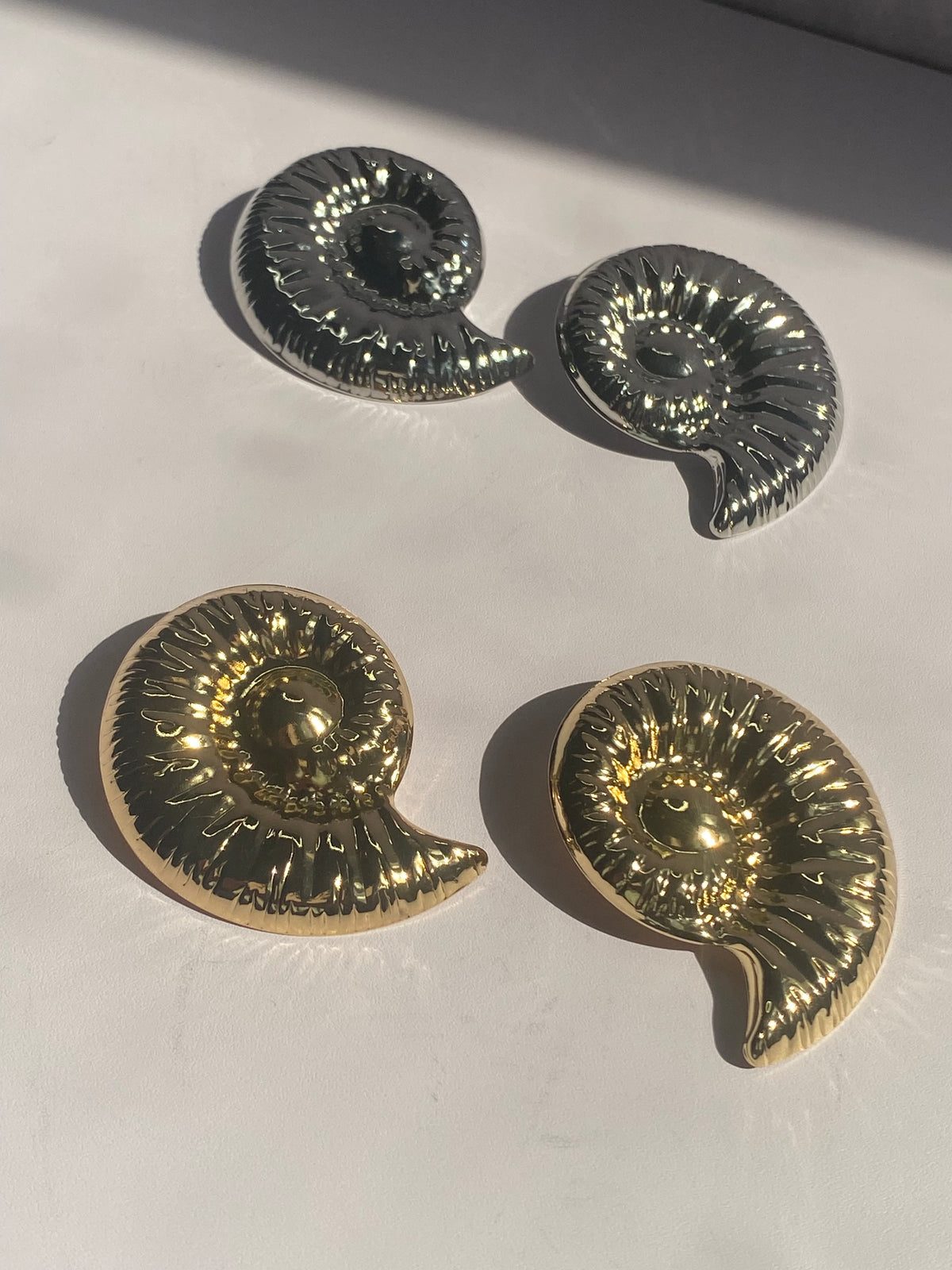 Shell Swirls