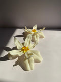 Large Flower Earrings