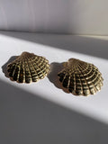Gold Seashell Earrings
